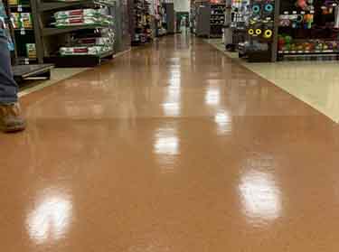 Expert floor cleaning team in New York ensuring spotless, polished surfaces for businesses with advanced equipment and eco-friendly solutions.